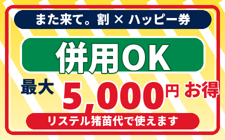 また来て。割とハッピートラベルチケット併用OK
